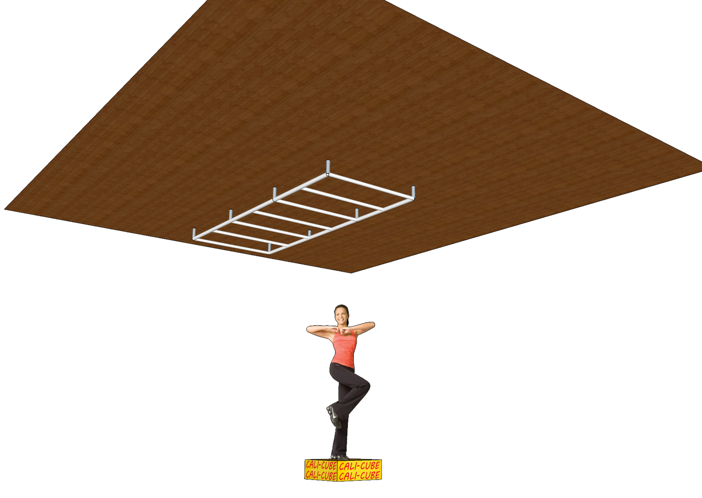 Cali-Cube-Paket-Tom-Sprossenwand-Monkey-Bar-2700-1000