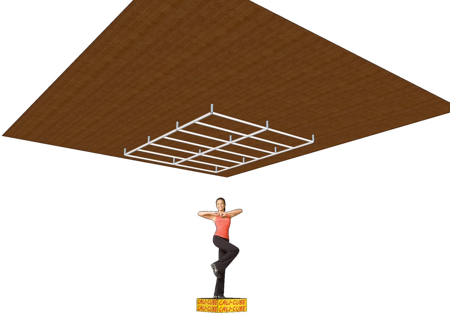 Cali-Cube-Paket-Tom-Sprossenwand-Monkey-Bar-2700-2000