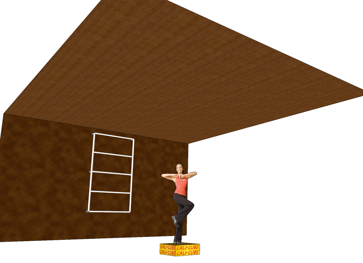 Cali-Cube-Paket-Tom3-Sprossenwand-Monkey-Bar-1800-1000